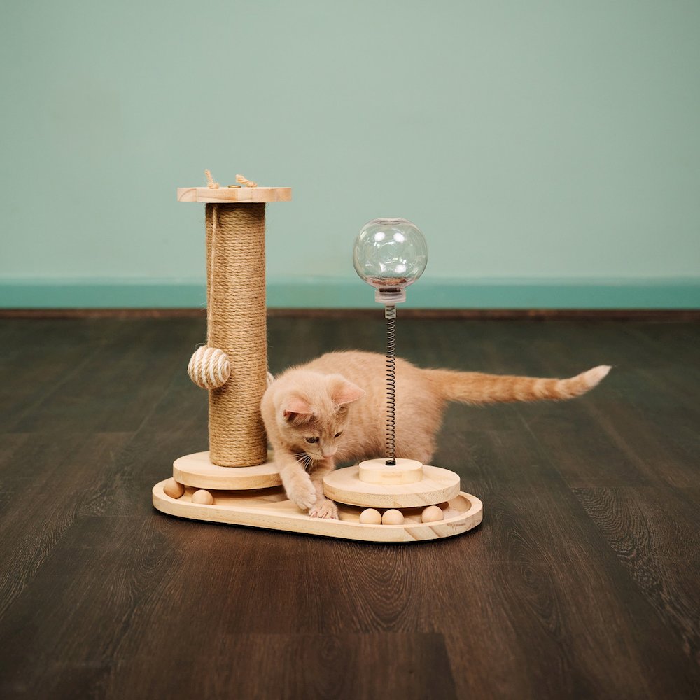 Interactive Scratch Post Activity Center -- The Ultimate Cat Playground