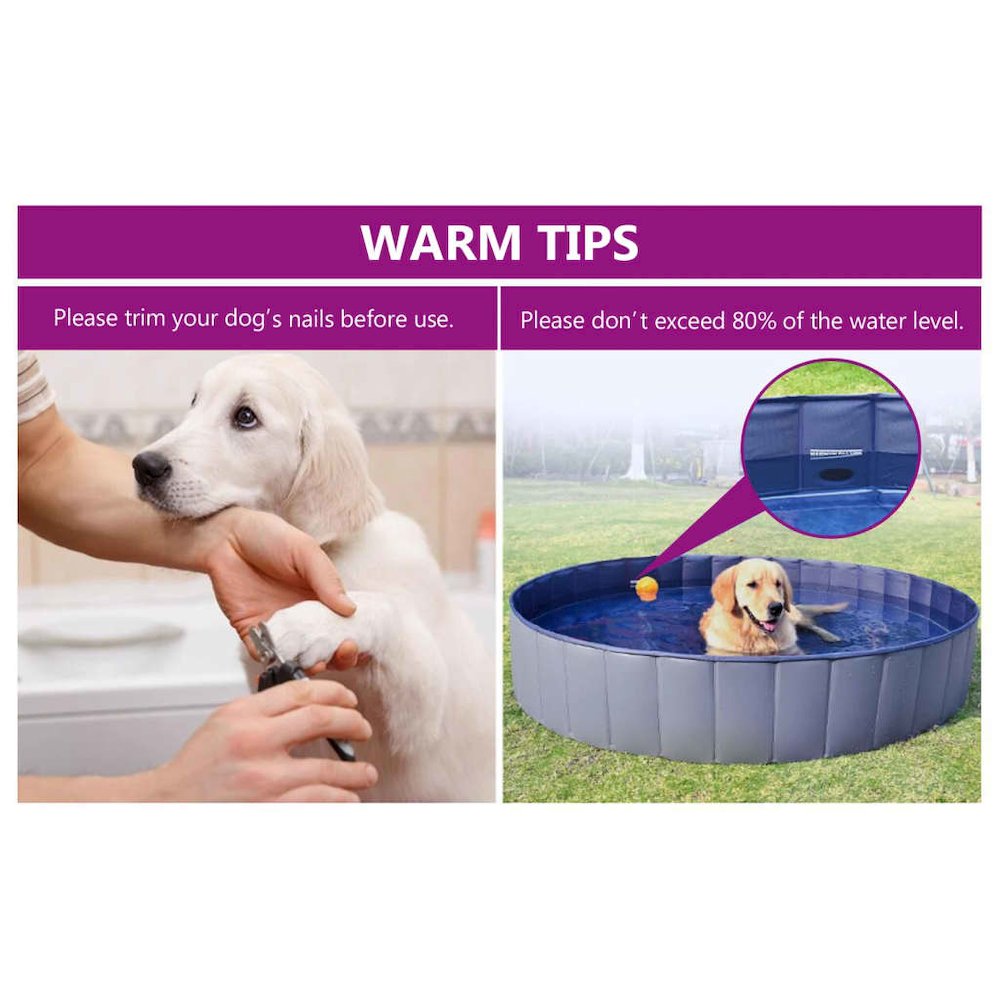 Dog Swimming Pool Blue PVC 78.7 x 11.8 in Collapsible