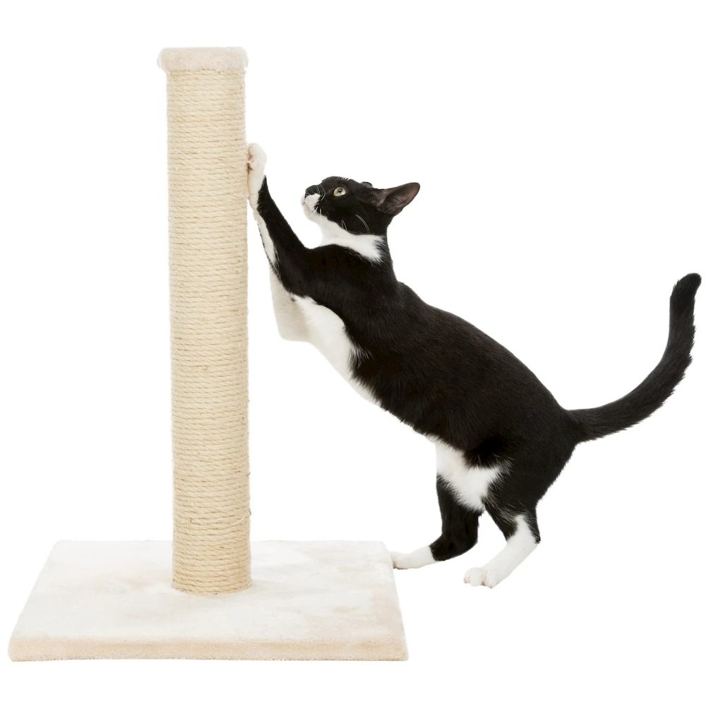 Parla Sisal 24.5" Cat Scratching Post with Plush Base, Beige