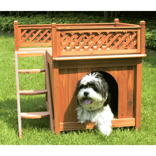 Room With A View Dog House