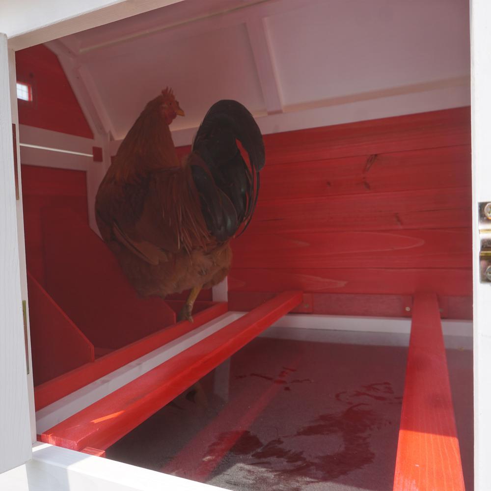 Big Farm Chicken Coop