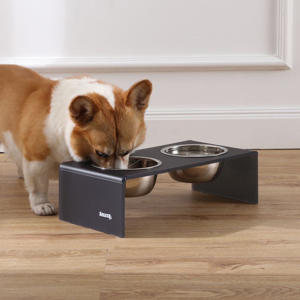 5" Acrylic Rectangular Elevated Pet Feeder, 20oz 2-Stainless Steel Bowls, Gray