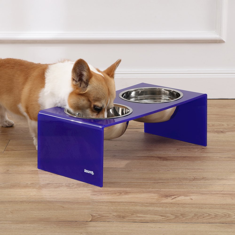 7.5" Rectangular Elevated Pet Feeder, 54oz 2-Stainless Steel Bowls, Purple