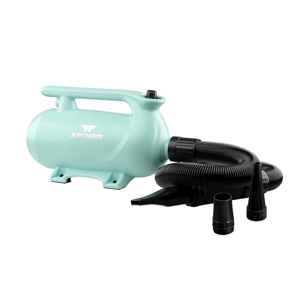 B-163 High Velocity Variable Speed Double Motor Pet Dryer - Mint Green