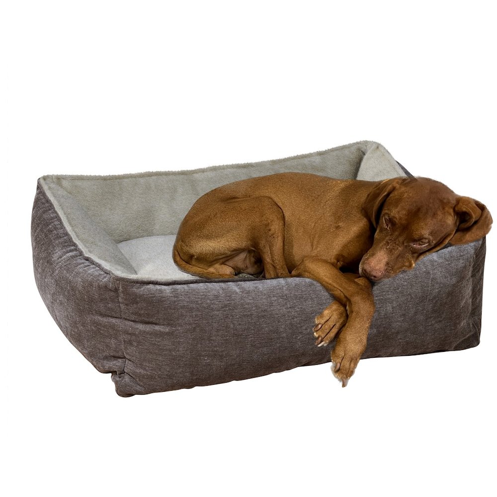 B-Lounge Bed For Dogs in Fawn Fabric Finish Size - MED