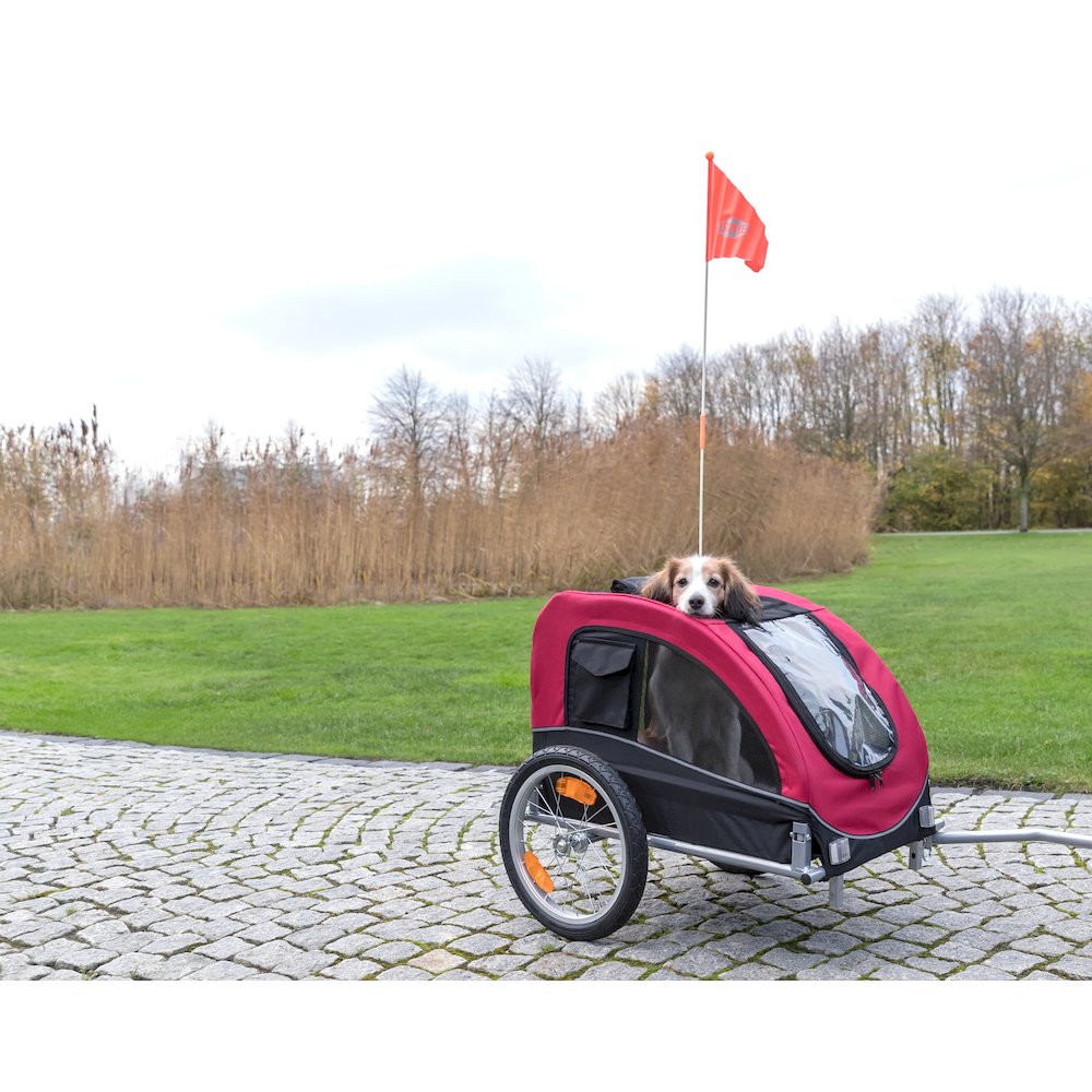 Foldable 2-in-1 Bicycle Trailer for Medium Dogs with Windows, Black & Red