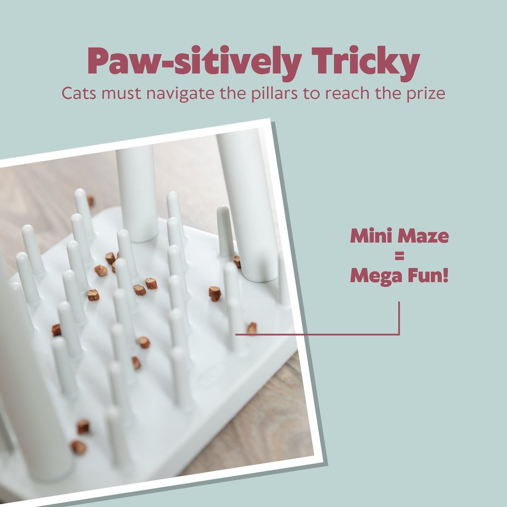 Mad Scientist Turn Around Strategy Game Cat Puzzle Toy, Treat Dispenser