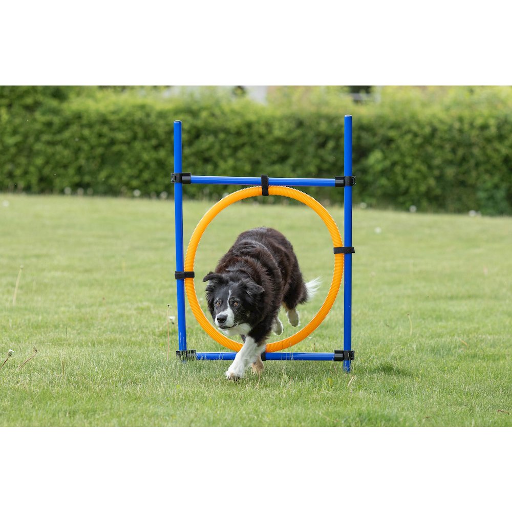 Dog Agility Jumping Ring Training Set