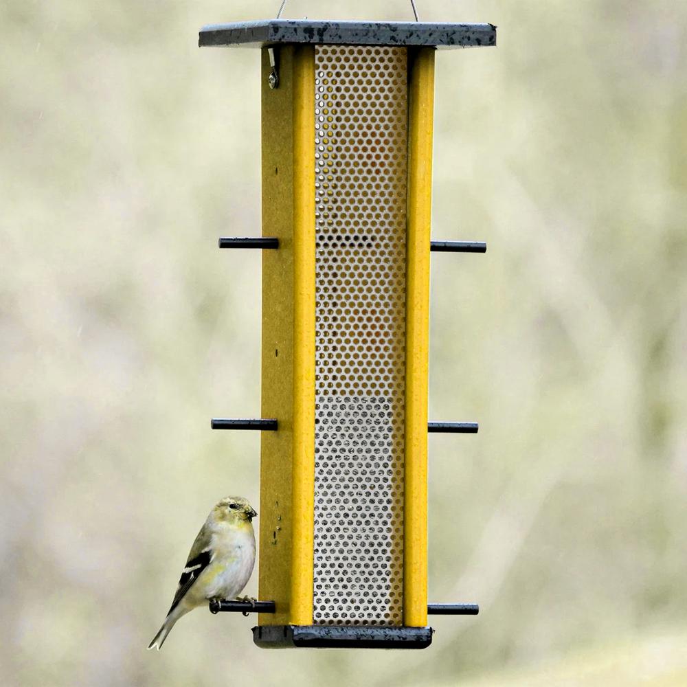 Finch Bird Feeder Made with High Density Poly Resin