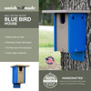 Blue Bird House Made of High Density Poly Resin