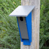 Peterson Blue Bird House Made with High Density Poly Resin