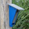 Peterson Blue Bird House Made with High Density Poly Resin