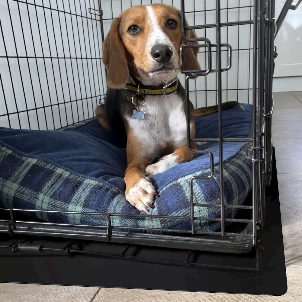 Floortex P-Tex Polypropylene Pet Crate Floor Protection Mat - XXL - 32" x 50"