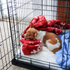 Floortex P-Tex Polypropylene Pet Crate Floor Protection Mat - XXL - 32" x 50"