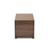 Skylar Modern and Contemporary Walnut Brown Finished Cat Litter Box Cover House