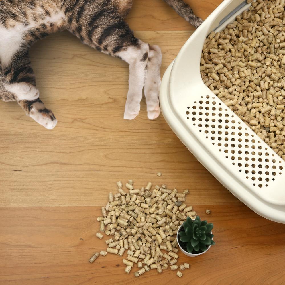 All Natural Pinewood Cat Litter