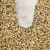 All Natural Pinewood Cat Litter
