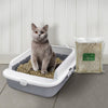 Casual Home 100% Natural Pine Wood Non-Clumping Cat Litter Wood Pellets - 8 lbs