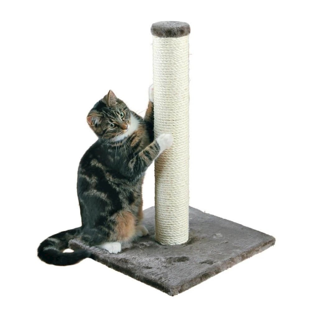 Parla Sisal 24.5" Cat Scratching Post with Plush Base, Gray
