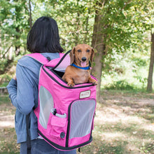 Pawfect Pets Backpack Pet Carrier In Pink And Gray Combo