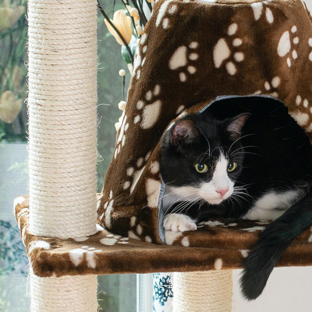 Real Wood Cat Tree Hammock Bed With Natural Sisal Post For Cats And Kittens