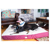 Double Extra Large Pet Bed Mat With Poly Fill Cushion, In Ivory & Burgundy