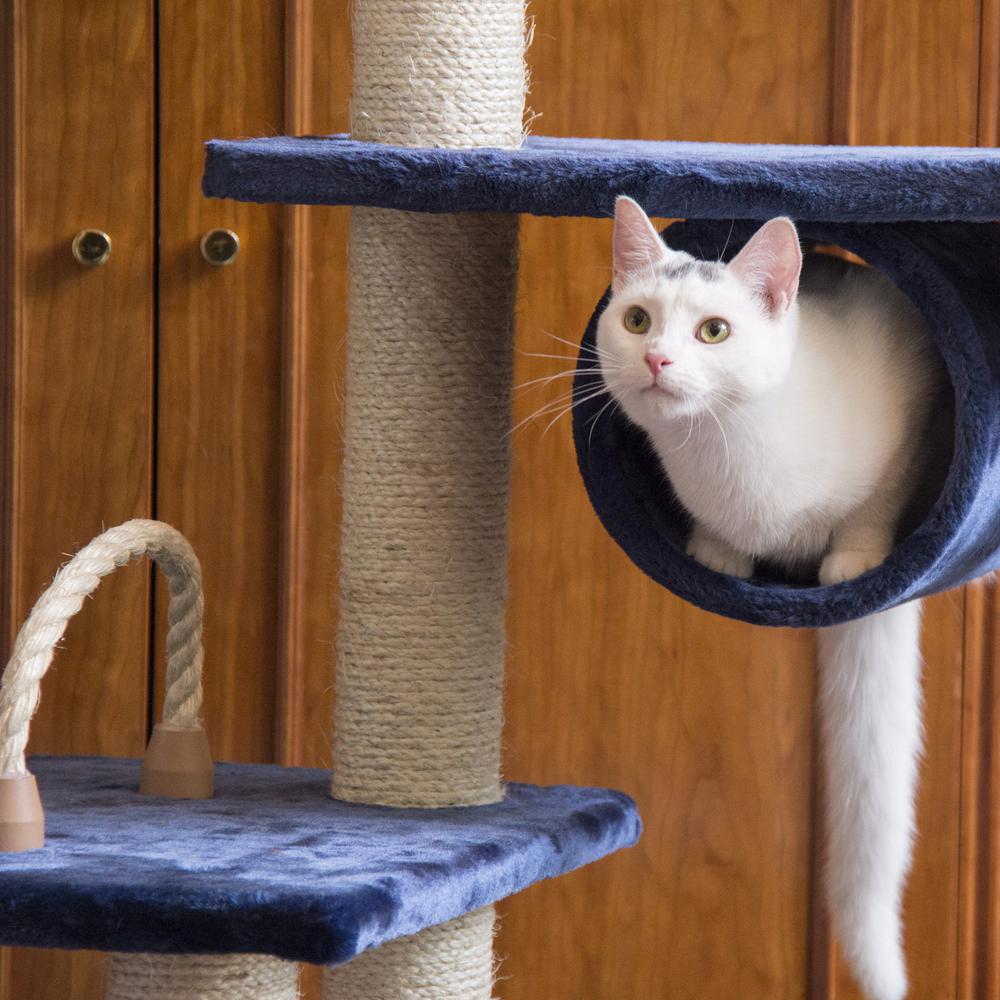 71" Navy Real Wood Cat Climbing Tower, Cat Scratching Furniture