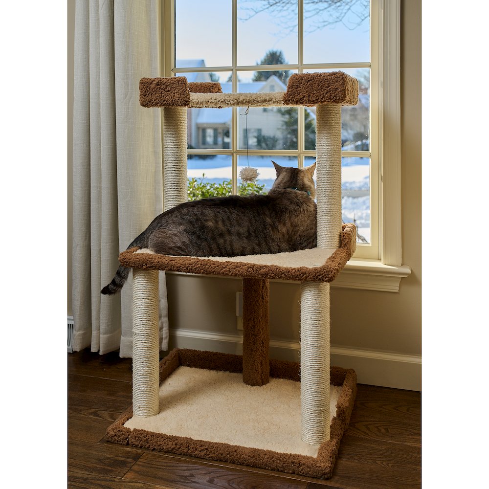 Cat Tree for Large Cats, 41" Real Wood Cat Tower with Scratching Posts