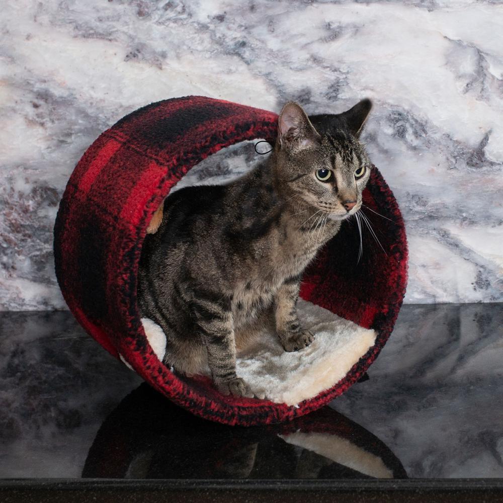 Real Wood Cat Hideaway Tunnel, Scotch Plaid