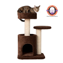 Carpeted Real Wood Cat Tree Condo, Kitten Activity Tree, Brown