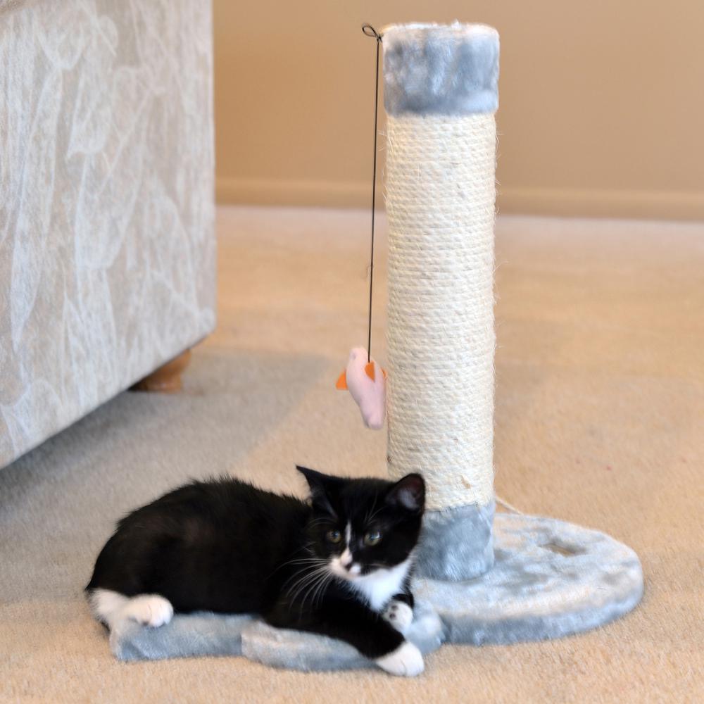 Mouse Shape Real Wood Cat Scratcher Toy, Sisal Scratching Post,Kitty Training