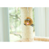 Multi-Level Real Wood Cat Tower Cat Tree In Beige