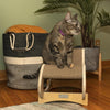 Real Wood Medium Wooden Cat Rocking Chair, Detachable Cat Swing Chair