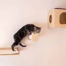 Real Wood Wall Series: Tree With Condo, Perch And Stepup