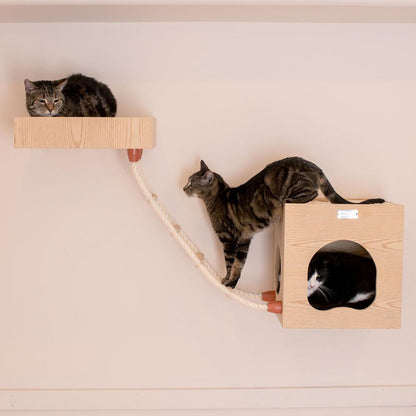 Real Wood Wall Series: Tree With Condo, Perch And Soft Perch