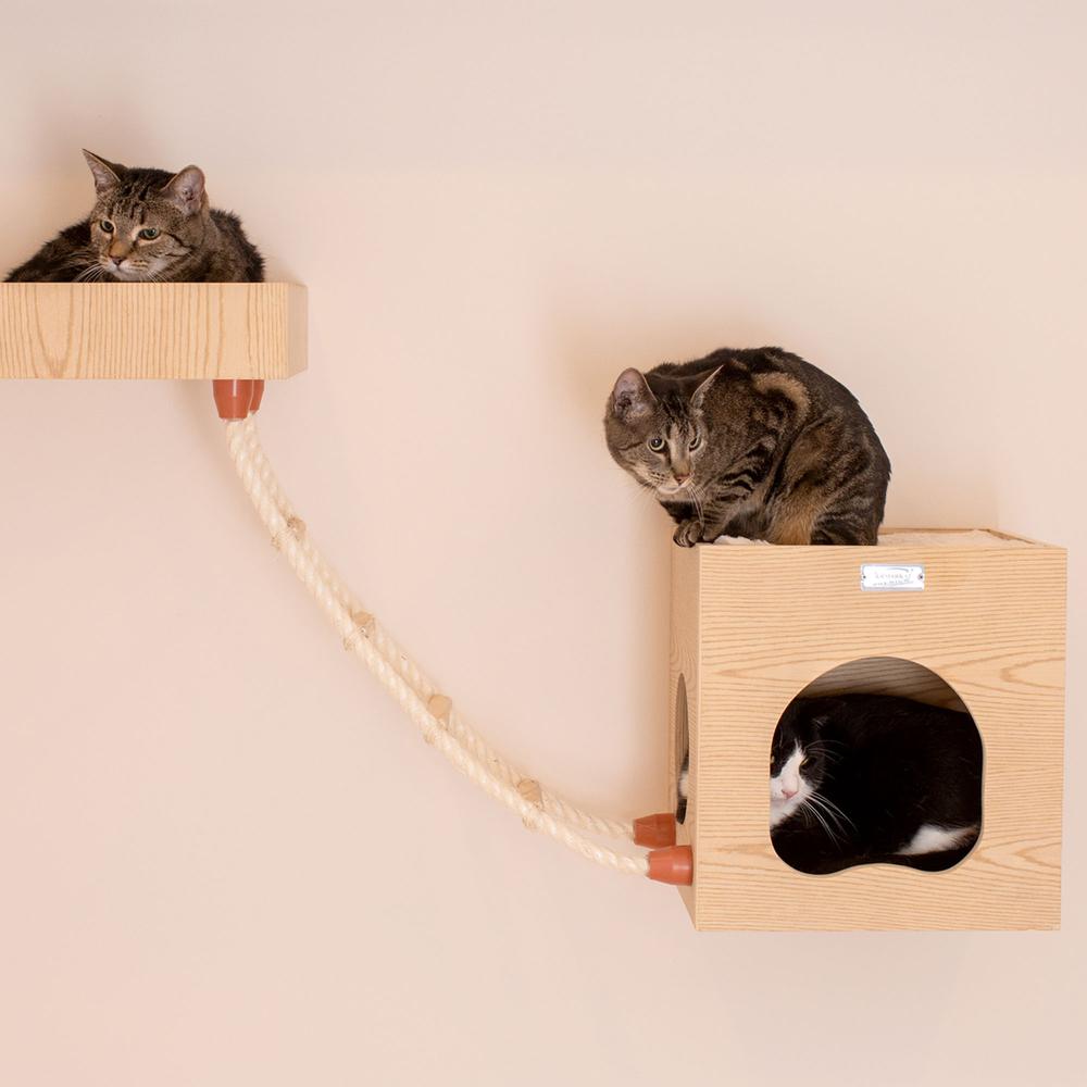 Real Wood Wall Series: Tree With Condo, Perch And Soft Perch