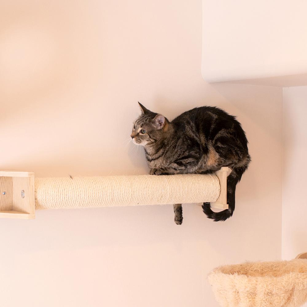 Real Wood Wall Series: Scratching Post