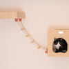 Real Wood Wall Series: Soft Ladder
