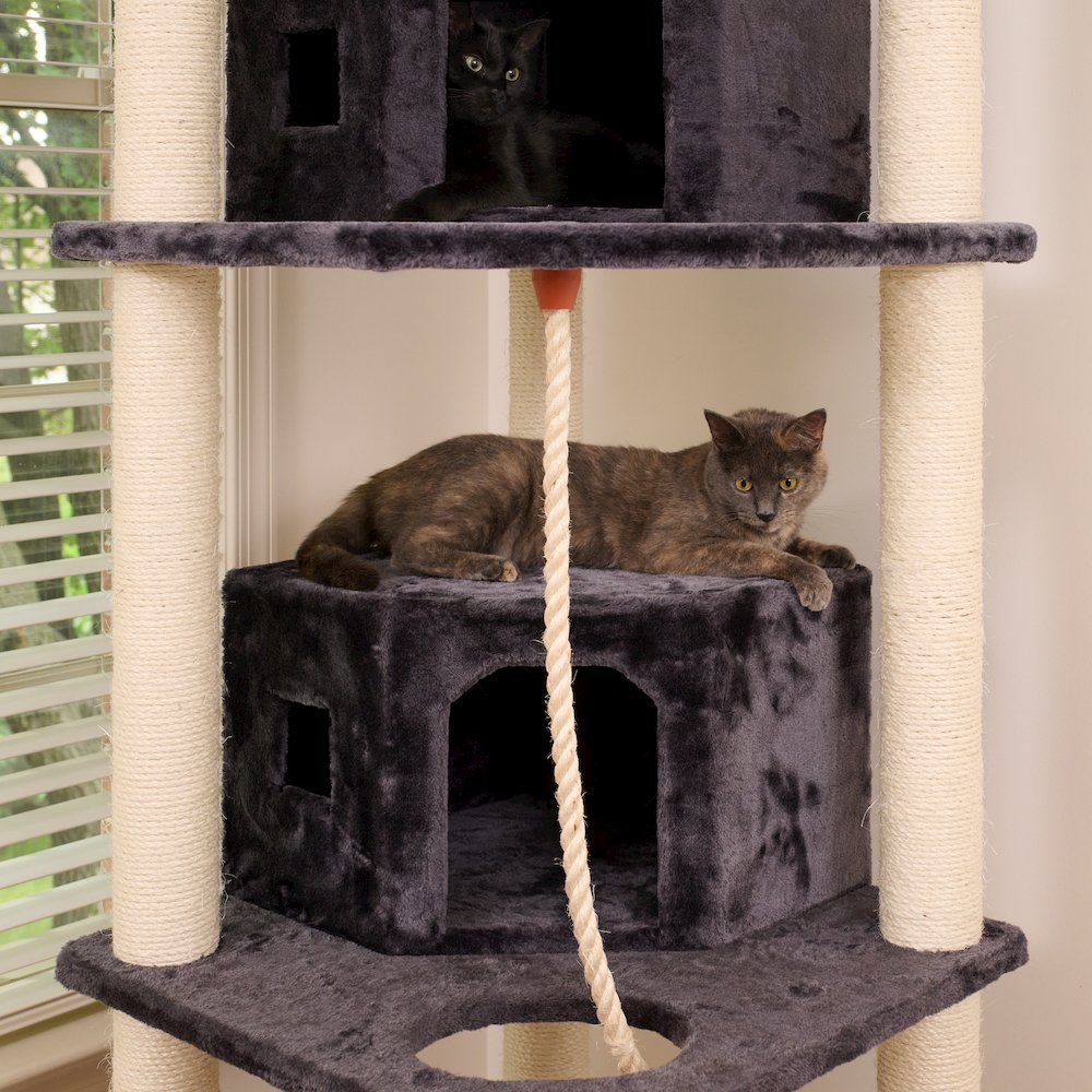 82 Inches Multi-Level Big Cat Tree. Tall Multi-Cats Tower With 2 Big Cat Condos