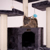 82 Inches Multi-Level Big Cat Tree. Tall Multi-Cats Tower With 2 Big Cat Condos