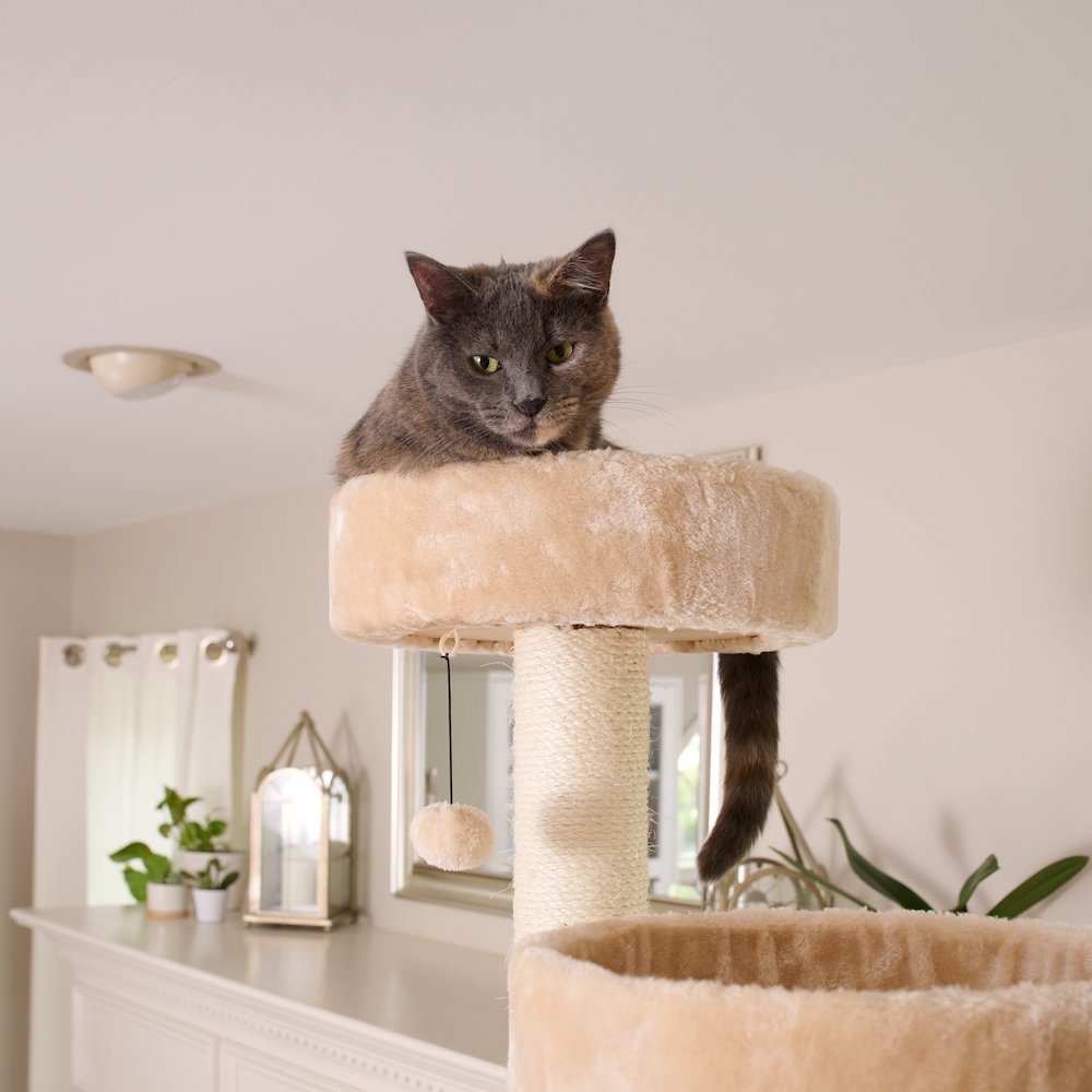 Royal Perch Cat Mansion Tree