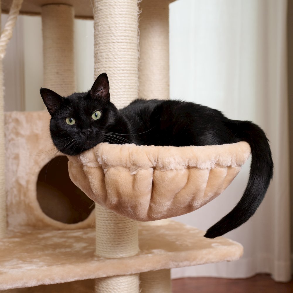 Royal Perch Cat Mansion Tree