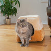 2-In-1 Cat Bed Cave Shape And Cuddle Pet Bed, Brown/Beige