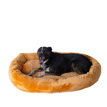 Large Earth Brown Bolstered Pet Bed And Mat