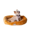 Small Earth Brown Bolstered Pet Bed And Mat
