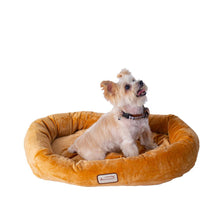 Small Earth Brown Bolstered Pet Bed And Mat