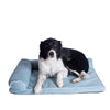 Soothing Blue Medium Bolstered Pet Bed With Poly Fill Cushion