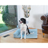 Soothing Blue Medium Bolstered Pet Bed With Memory Foam