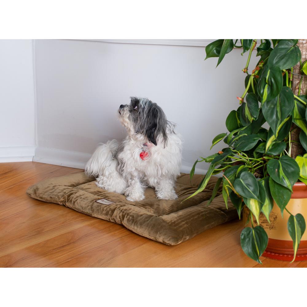 Medium Pet Bed Mat With Poly Fill Cushion In Sage Green