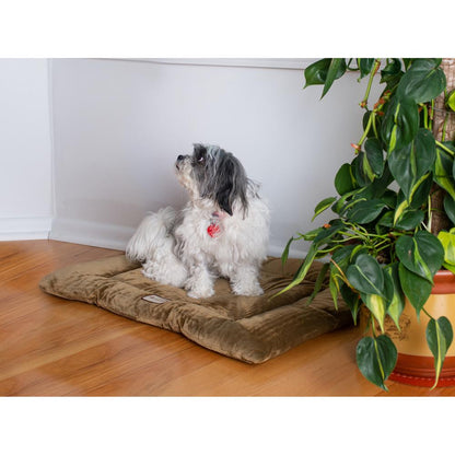 Medium Pet Bed Mat With Poly Fill Cushion In Sage Green